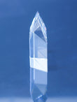 Homestead Crystal Award